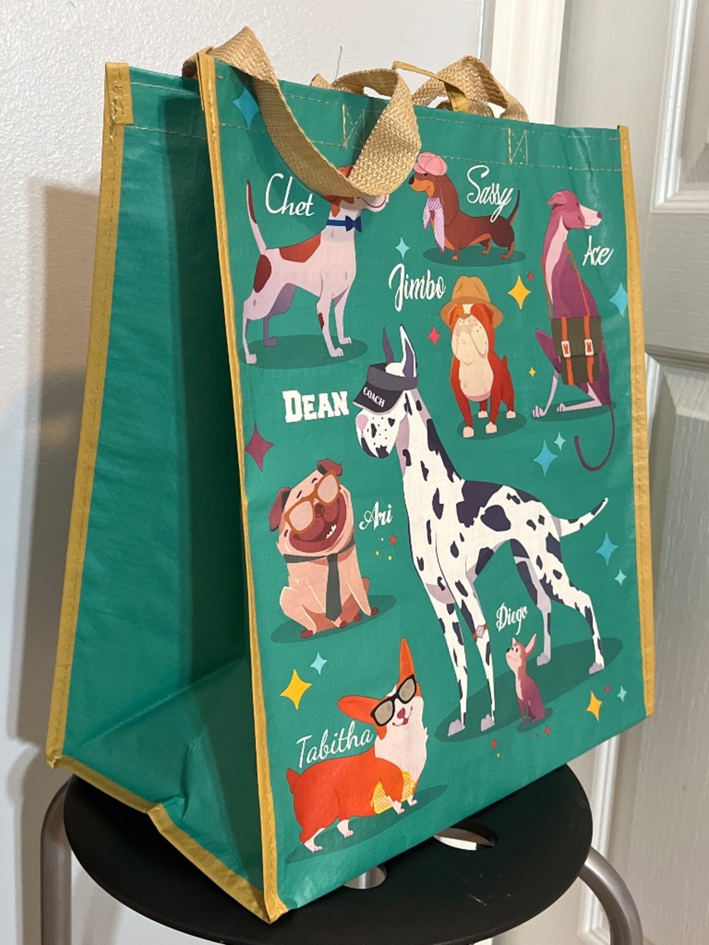 NWT Dog Lover Reusable Shopping Tote Bag 🐶